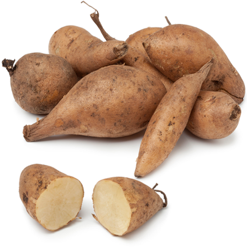 Yacon Root