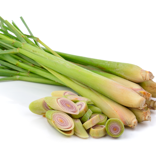 Lemongrass