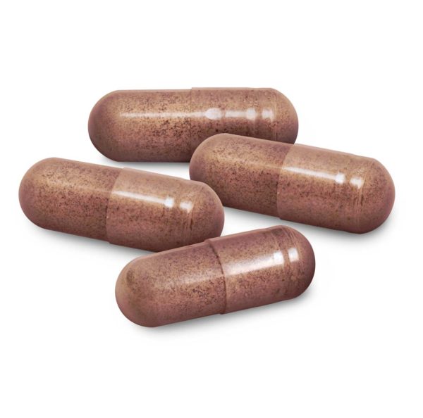 ChagaMax Capsules