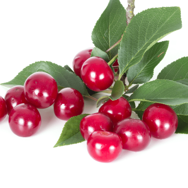 Yummy Gummy Cherry Bears - Image 5
