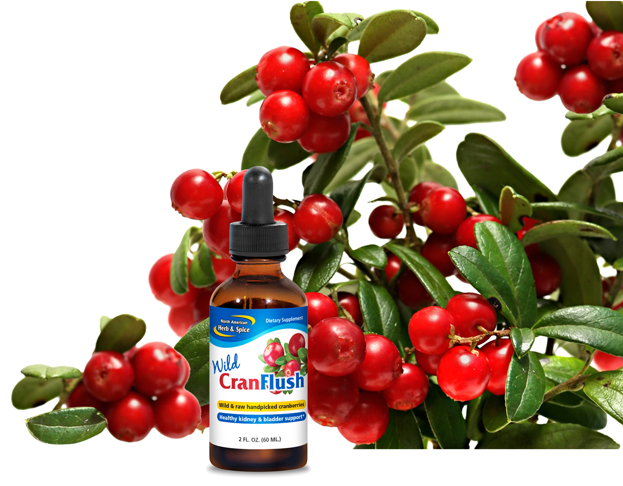 Wild cranberries with CranFlush product bottle